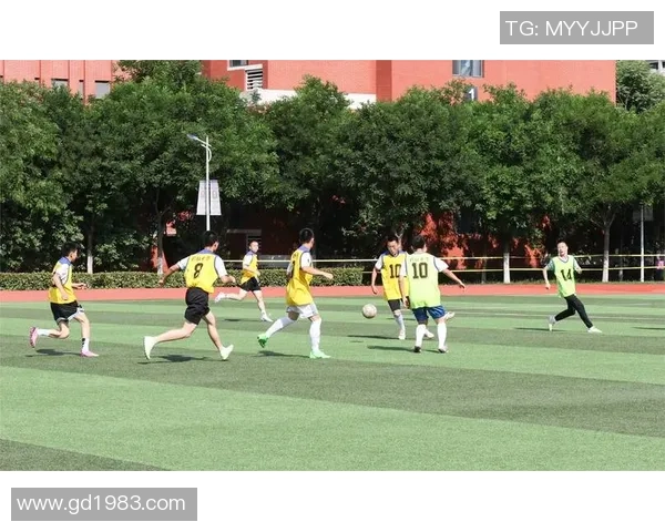 嘉兴校园足球蓬勃发展助力青少年健康成长与团队精神培养